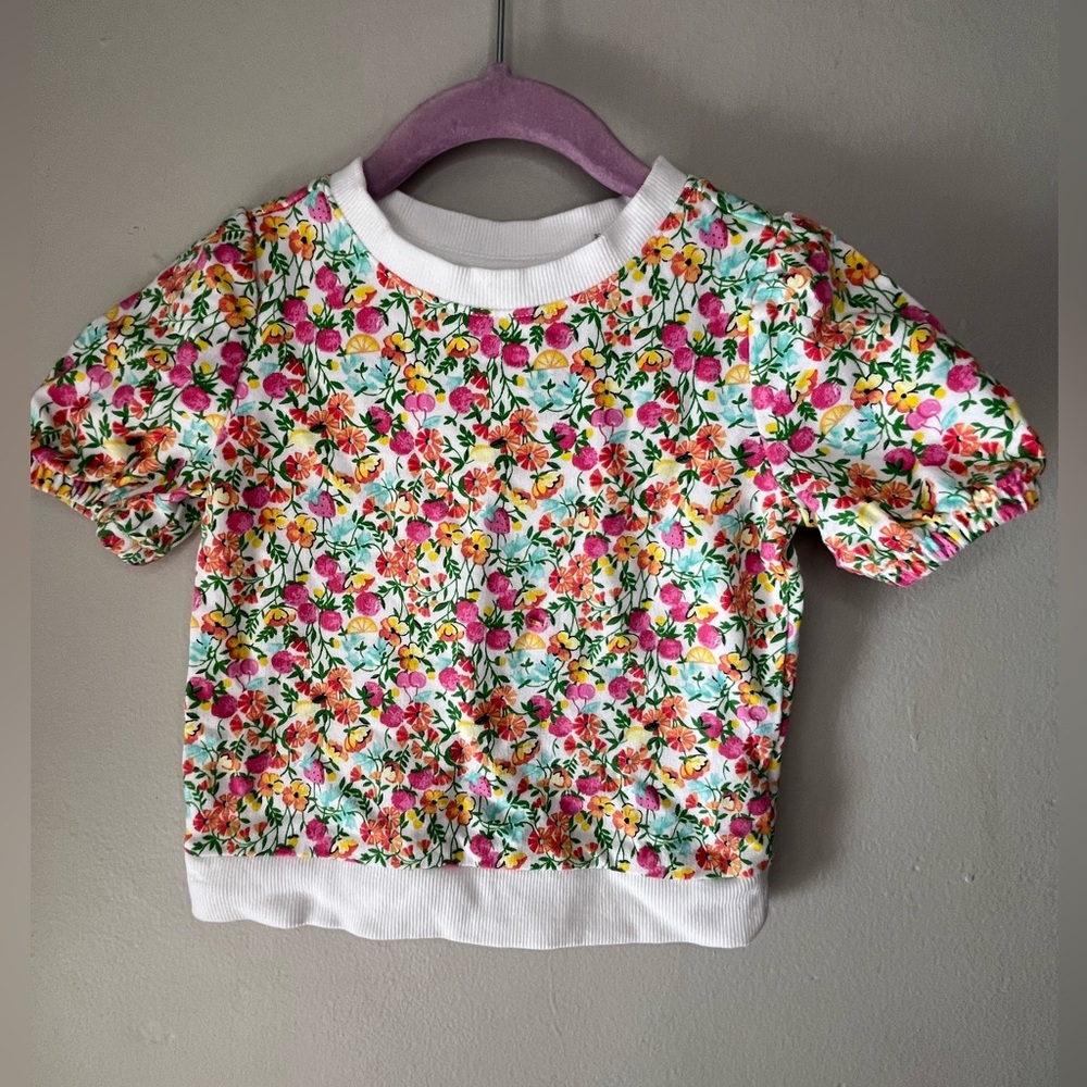 Janie and Jack French Terry Floral Sweatshirt Short Sleeve Multi Color Size 2T
